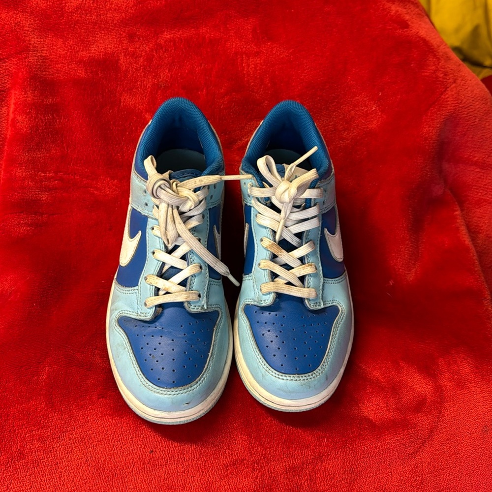 Nike dunks Kid size 2 youth blue
